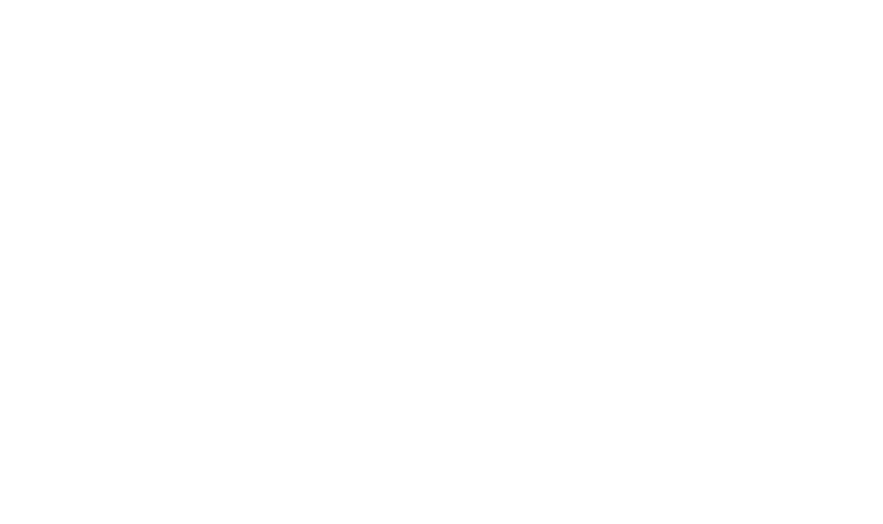 bereine.com